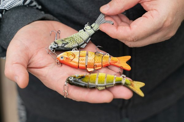 Comment choisir efficacement ses leurres pour la pêche au bar ?